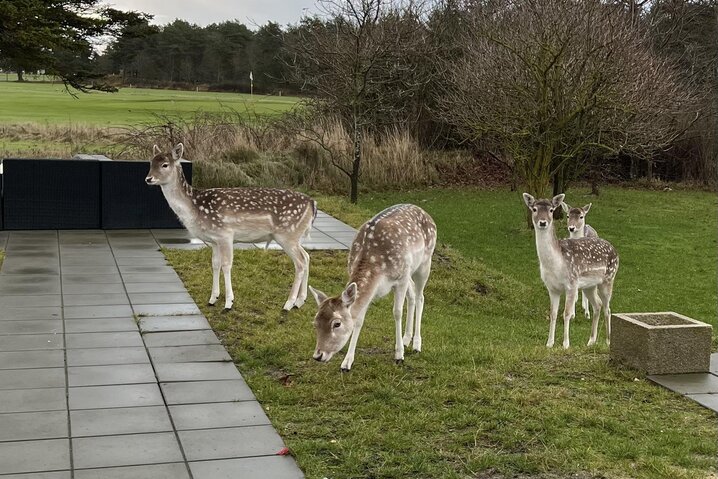 Sommerhus 61075 på Søndertoften 15, Ho - Billede #37