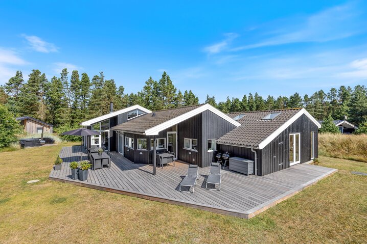 Ferienhaus 61079 in Hedevej 73, Ho - Bild #0