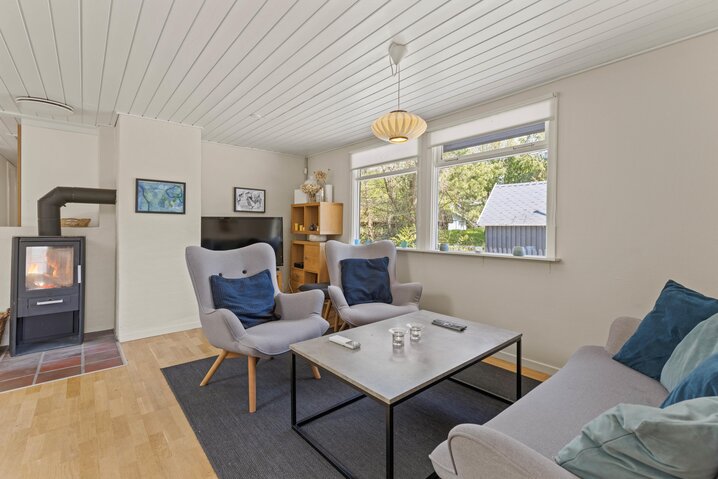 Ferienhaus 61082 in Sønderballevej 51, Ho - Bild #2