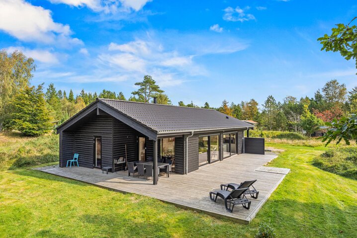 Ferienhaus 61088 in Fyrrevænget 49, Ho - Bild #0