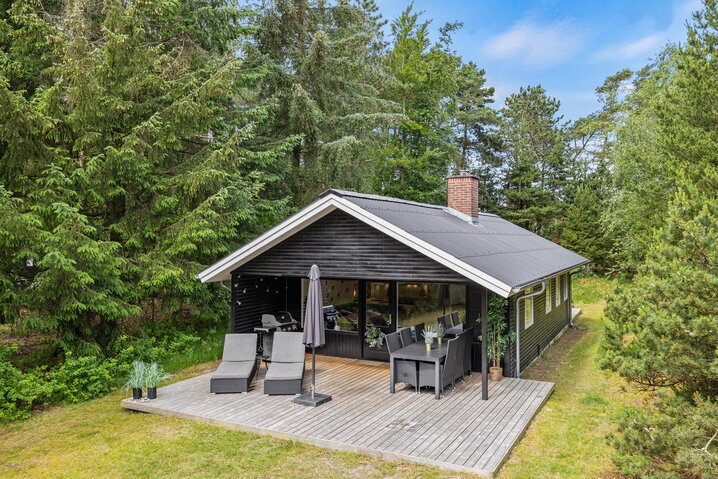 Ferienhaus 61126 in Toldervej 18, Ho - Bild #0