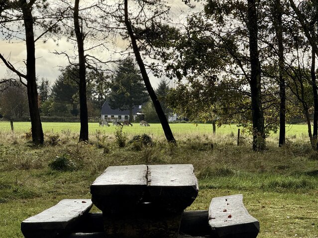 Sommerhus 61166 på Toldervej 28, Ho - Billede #28