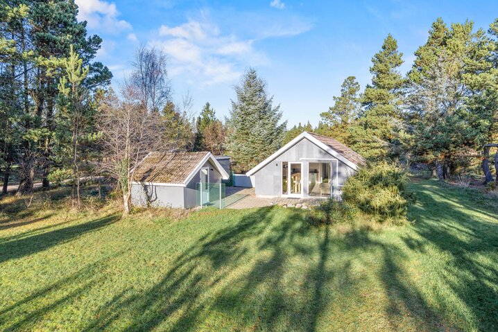 Ferienhaus 61181 in Hedevej 42, Ho - Bild #19