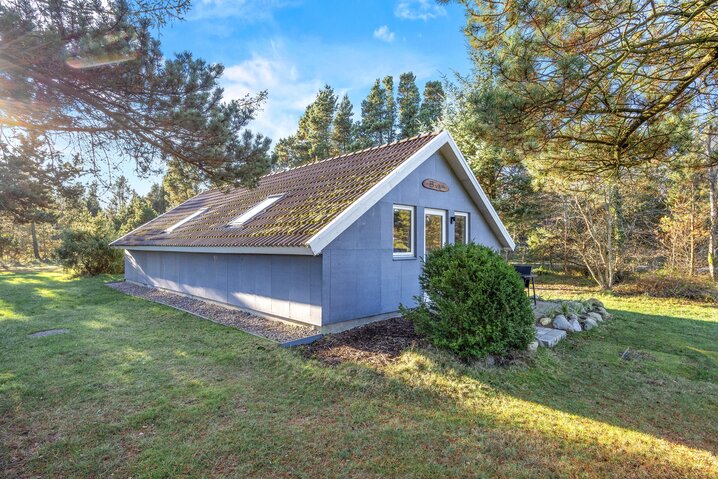 Ferienhaus 61181 in Hedevej 42, Ho - Bild #21
