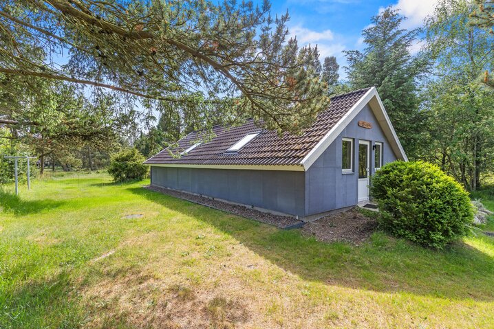 Ferienhaus 61181 in Hedevej 42, Ho - Bild #21