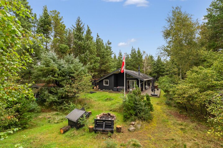 Ferienhaus 61189 in Skallingevej 13, Ho - Bild #0