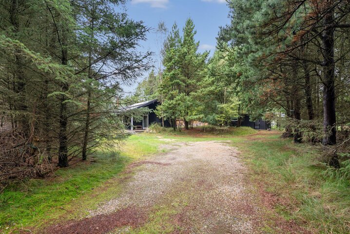 Ferienhaus 61189 in Skallingevej 13, Ho - Bild #42