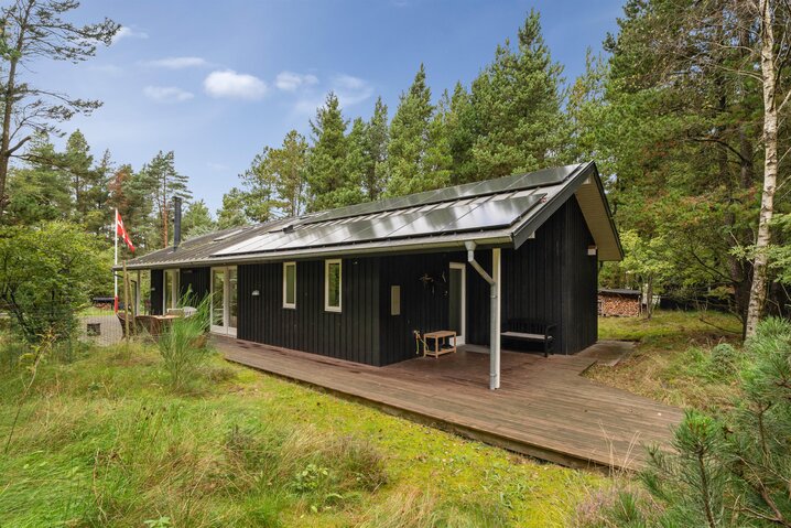 Ferienhaus 61189 in Skallingevej 13, Ho - Bild #45