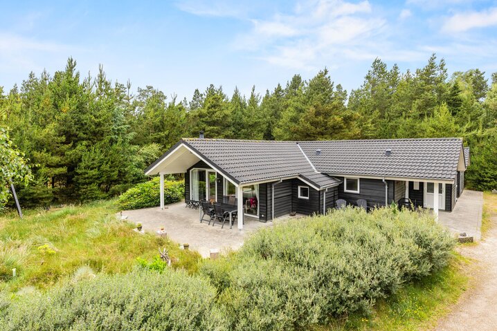 Ferienhaus 61915 in Hedevej 27, Ho - Bild #0