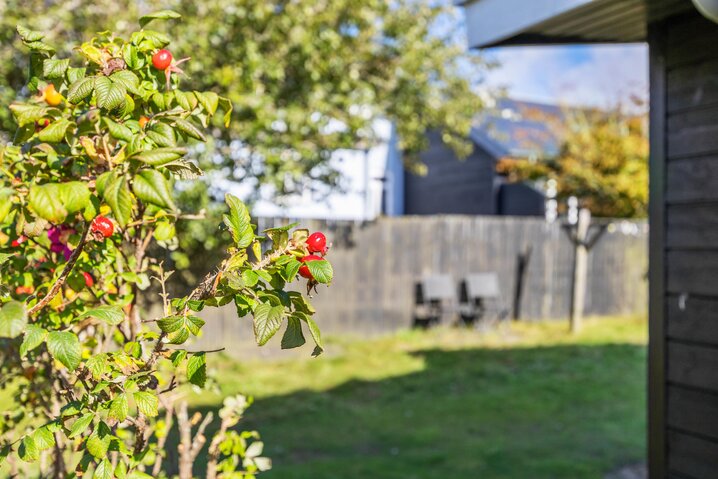 Sommerhus 71034 på Dalen 2, Fanø Bad - Billede #22