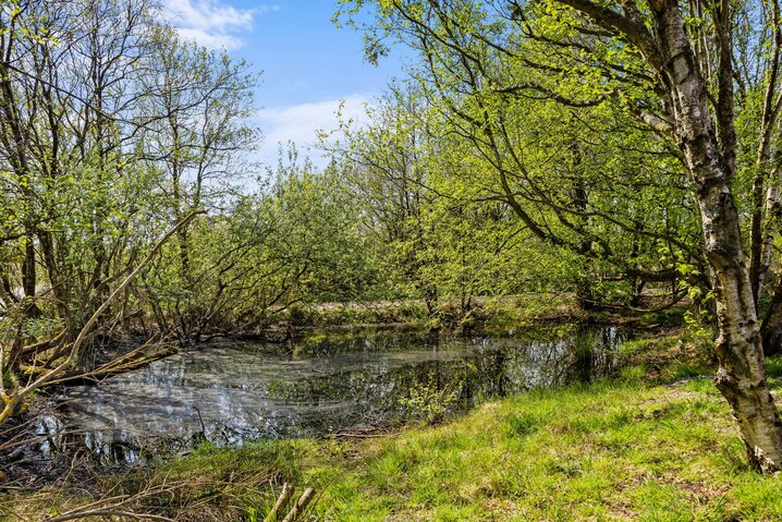 Sommerhus 71052 på Hanevej 10, Fanø Bad - Billede #34