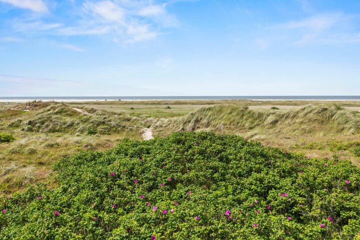 Sommerhus 71061 på Kystvejen 19, Fanø Bad - Billede #24