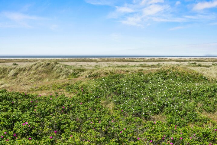 Sommerhus 71061 på Kystvejen 19, Fanø Bad - Billede #25
