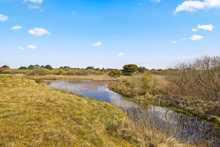 Ferienhaus 71062 in Dalen 80, Fanø Bad - Bild #22
