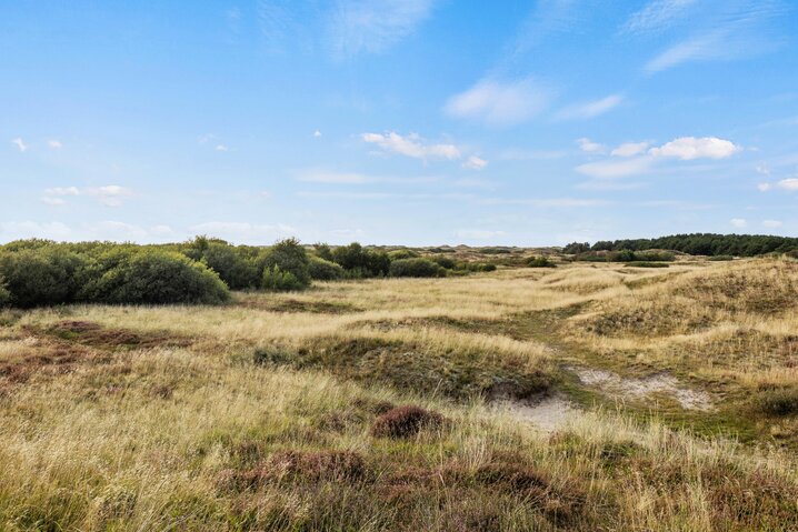 Sommerhus 71065 på Kallesbjergvej 74, Fanø Bad - Billede #26