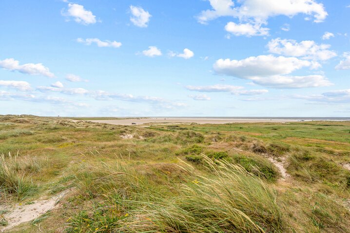 Ferienhaus 71077 in Strandvejen 61A, 306 2, Fanø Bad - Bild #22