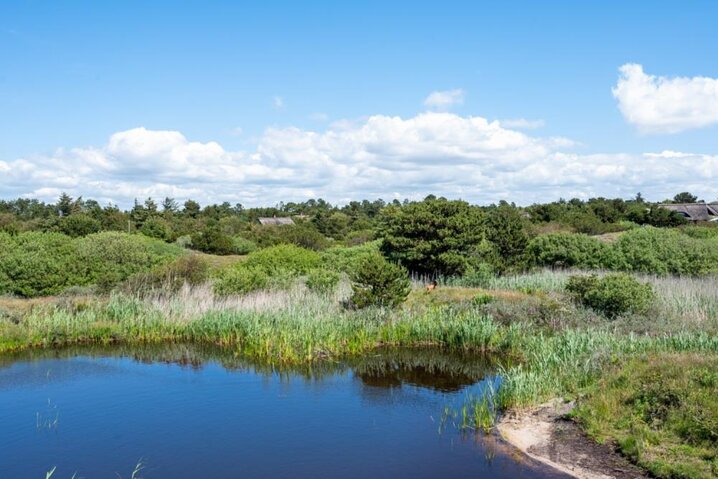 Sommerhus 71152 på Dalen 78, Fanø Bad - Billede #20