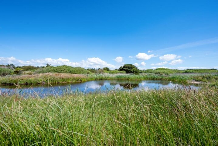 Sommerhus 71152 på Dalen 78, Fanø Bad - Billede #34