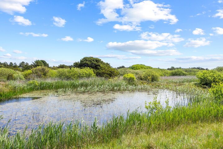 Sommerhus 71152 på Dalen 78, Fanø Bad - Billede #38