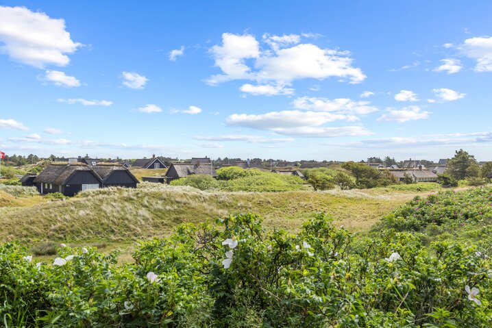 Sommerhus 71175 på Sønderklit 22, Fanø Bad - Billede #28