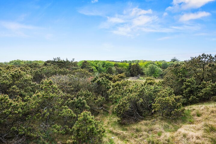 Sommerhus 71177 på Skovly 12, Fanø Bad - Billede #18