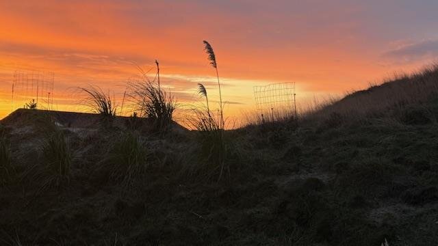 Ferienhaus 71201 in Norges Fjelde 40, Fanø Bad - Bild #25