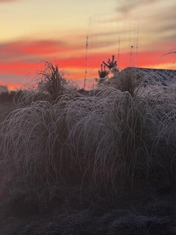 Ferienhaus 71201 in Norges Fjelde 40, Fanø Bad - Bild #27