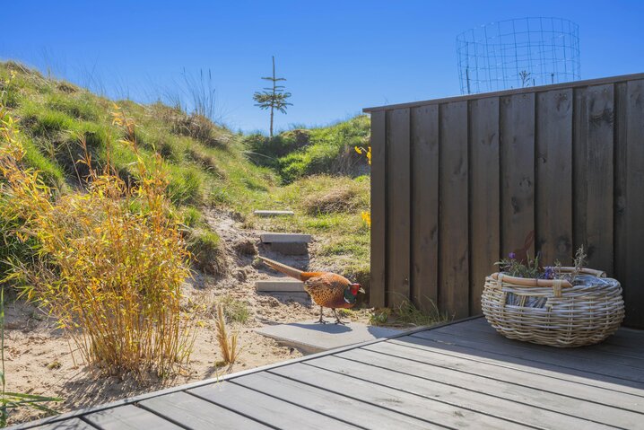 Sommerhus 71201 på Norges Fjelde 40, Fanø Bad - Billede #24