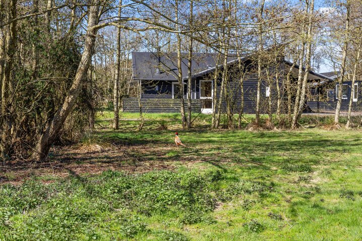 Sommerhus 71205 på Skovly 13, Fanø Bad - Billede #30