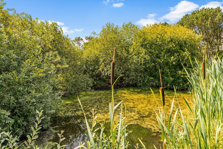 Ferienhaus 72002 in Lyngvej 18, Rindby - Bild #31