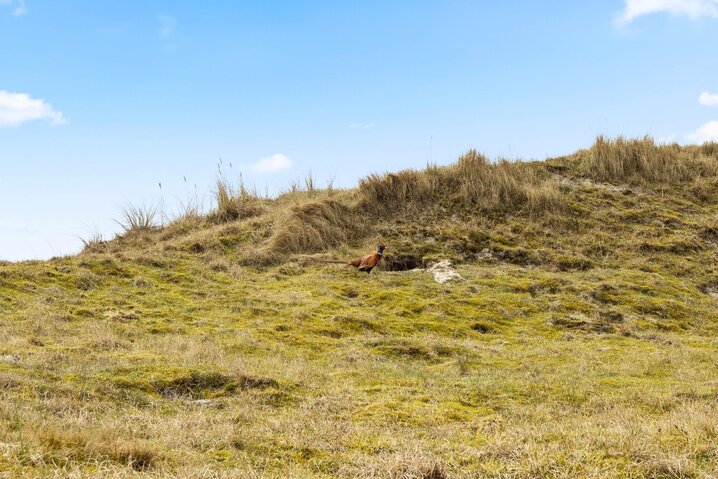 Sommerhus 72028 på Nyby Klitvej 4, Rindby - Billede #37