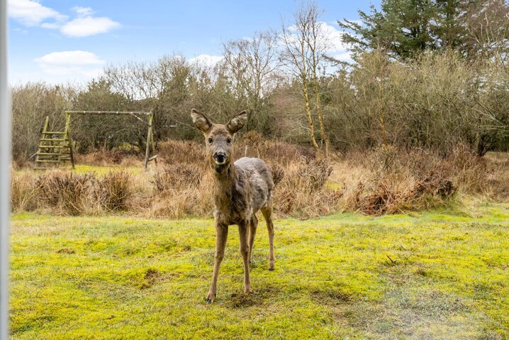 Sommerhus 72044 på Store Klit 84, Rindby - Billede #38