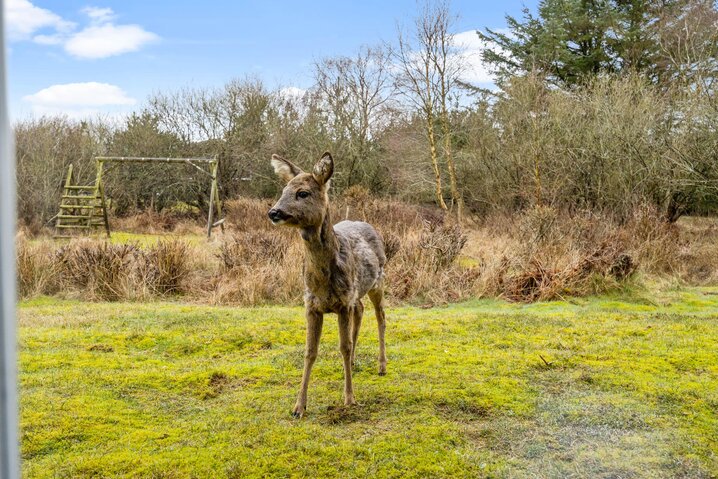 Sommerhus 72044 på Store Klit 84, Rindby - Billede #37