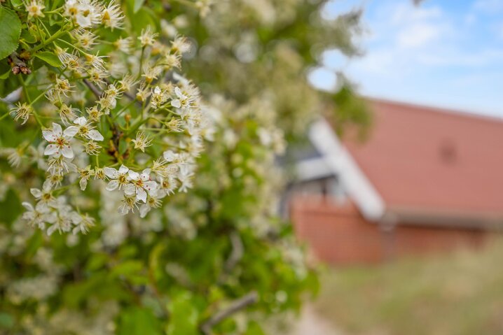 Sommerhus 72102 på Paradisvej 52, Rindby - Billede #32