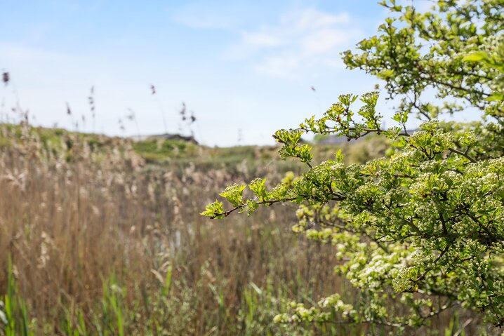 Sommerhus 72112 på Bekkasinvej 2, Rindby - Billede #31