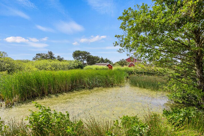 Sommerhus 72118 på Strandgårdsvej 7, Rindby - Billede #21