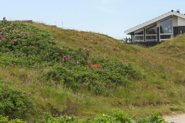 Sommerhus 72147 på Lyngvej 26, Rindby - Billede #29