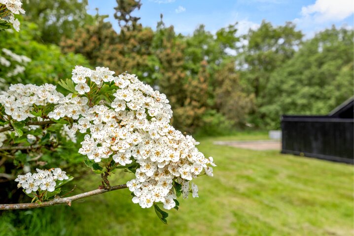 Sommerhus 72173 på Gøgevej 37, Rindby - Billede #25