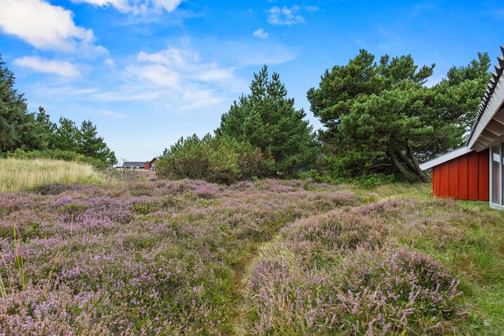 Ferienhaus 73019 in Vesten Sandene 26, Sønderho - Bild #31