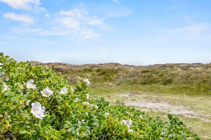 Sommerhus 73110 på Sønderho Strandvej 68, Sønderho - Billede #25