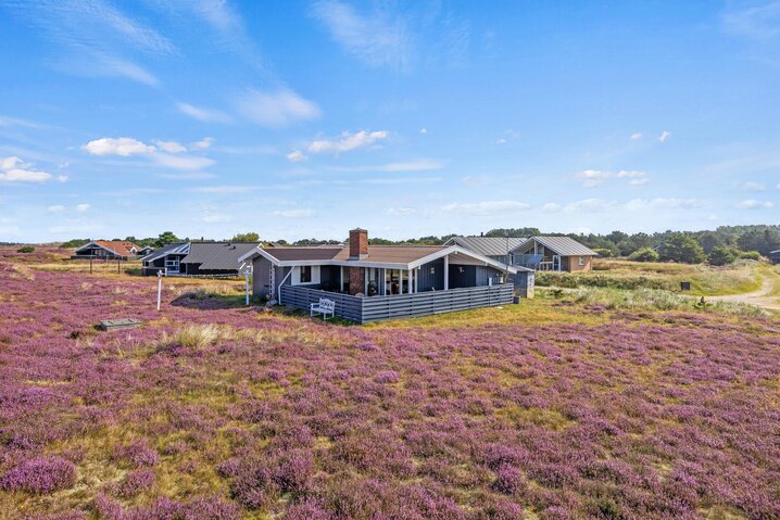 Ferienhaus 73125 in Præstemarken 9, Sønderho - Bild #0