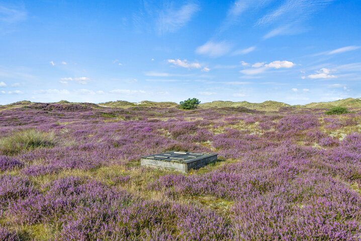 Ferienhaus 73125 in Præstemarken 9, Sønderho - Bild #25