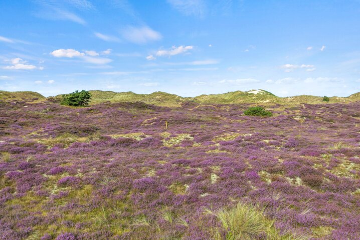 Ferienhaus 73125 in Præstemarken 9, Sønderho - Bild #26
