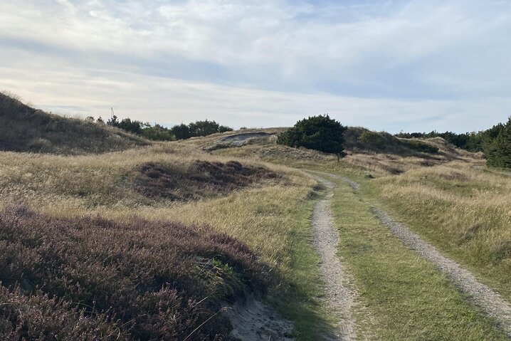 Ferienhaus 73179 in Vester Storetoft 18, Sønderho - Bild #34