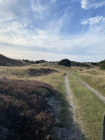 Ferienhaus 73179 in Vester Storetoft 18, Sønderho - Bild #34