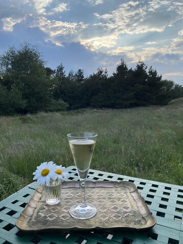 Ferienhaus 73179 in Vester Storetoft 18, Sønderho - Bild #35