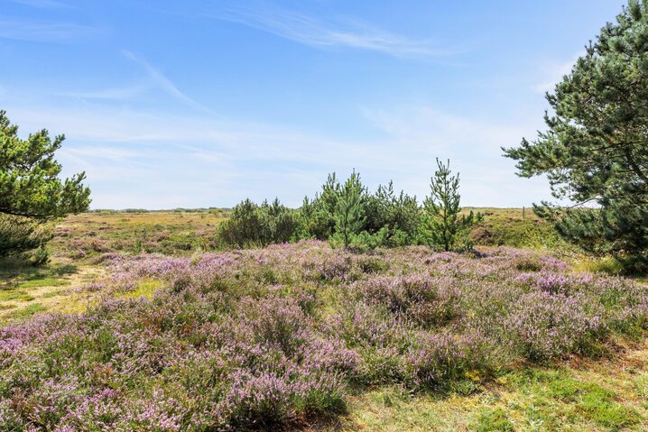 Sommerhus 81051 på Ringvejen 87, Bolilmark, Rømø - Billede #50