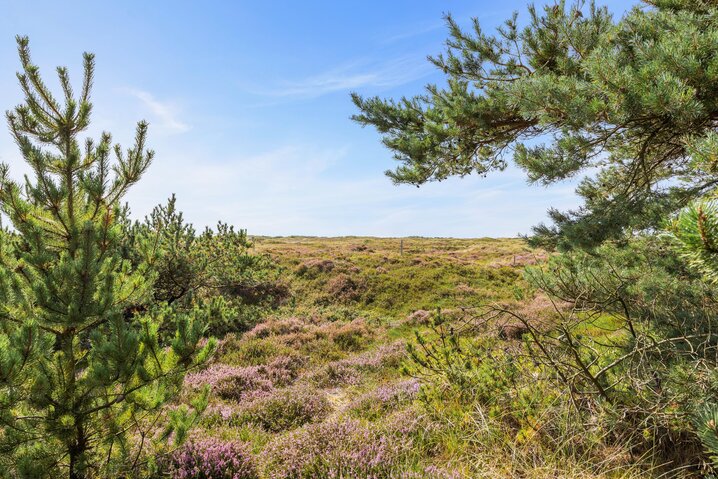 Sommerhus 81051 på Ringvejen 87, Bolilmark, Rømø - Billede #51