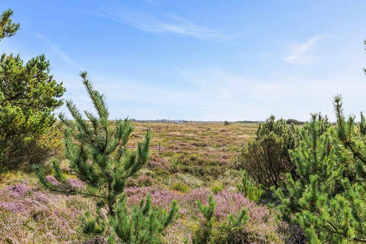 Sommerhus 81051 på Ringvejen 87, Bolilmark, Rømø - Billede #52