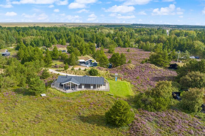 Ferienhaus 81062 in Ringvejen 33, Bolilmark, Rømø - Bild #0